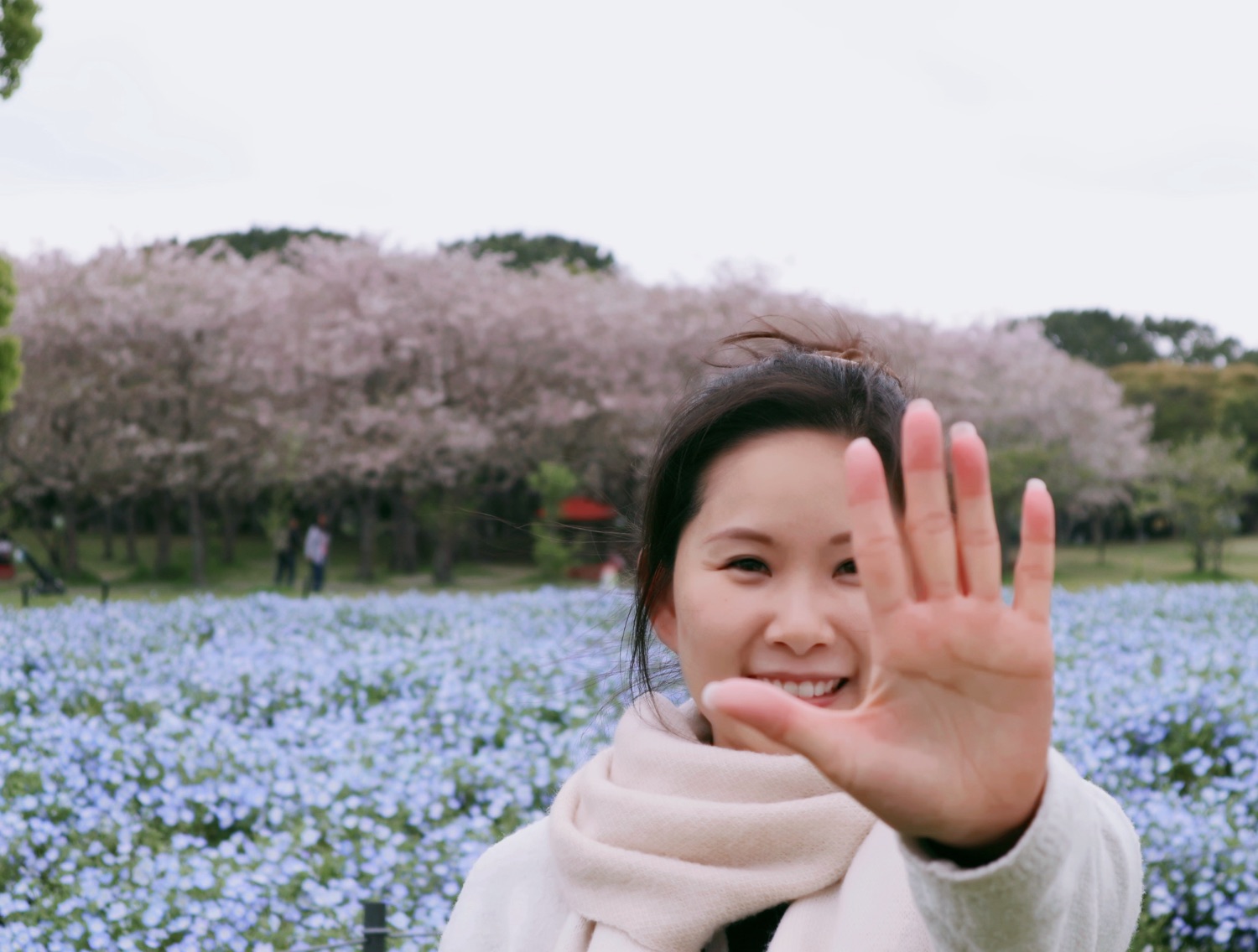 福岡賞花之旅｜陪我走進花花世界
